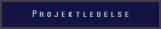 Projektledelse